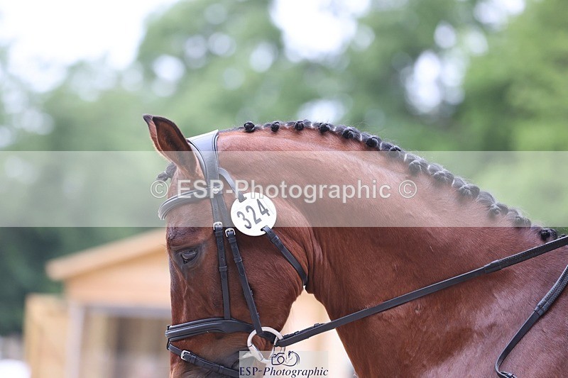 240523-173310-06168 - 324-COOMBELAND_SEMILLY-Rupert_Batting