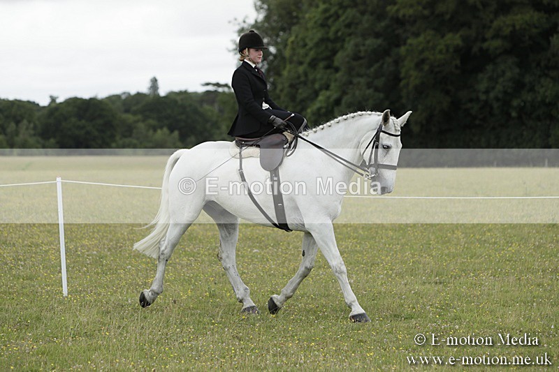 BVR160717-2348 - Side Saddle Classes 16/07/17