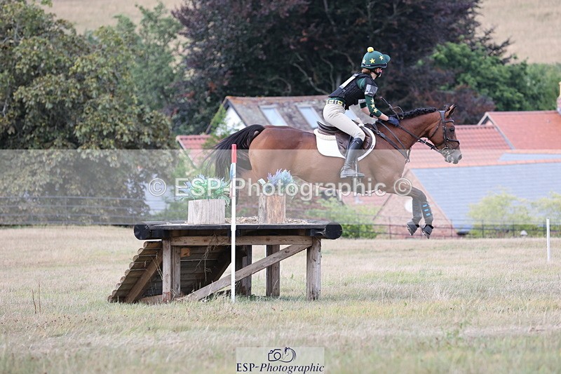 250802A-175859-08646 - H-353-Nancy.Wilson.Connell-BLUESTONE.BUTTERFLY