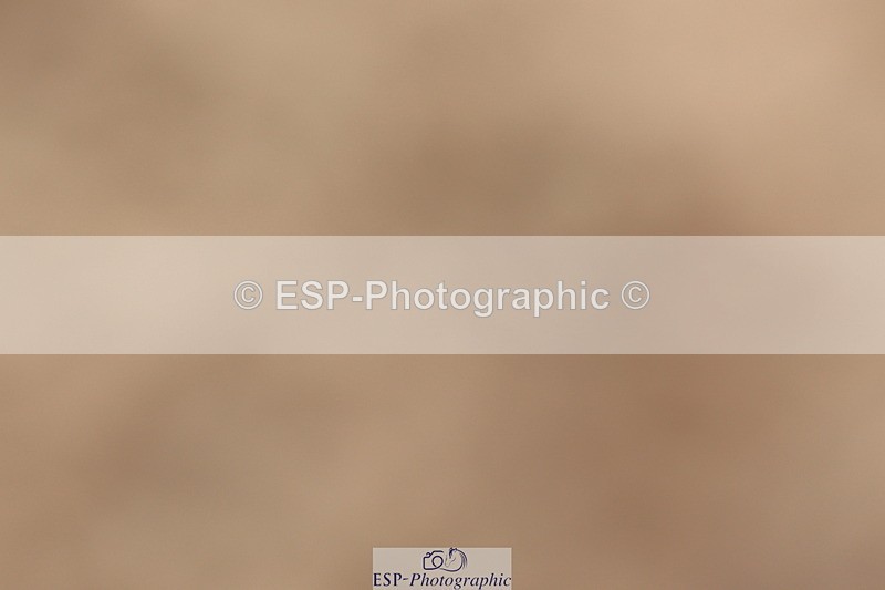 240622A-110618-09435 - Cls 27 BD Novice 37A