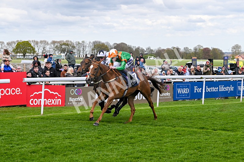 160425-Race 4-Wilhelmina-3092 - Race 4