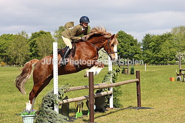 IMG_4737 - Working Hunter