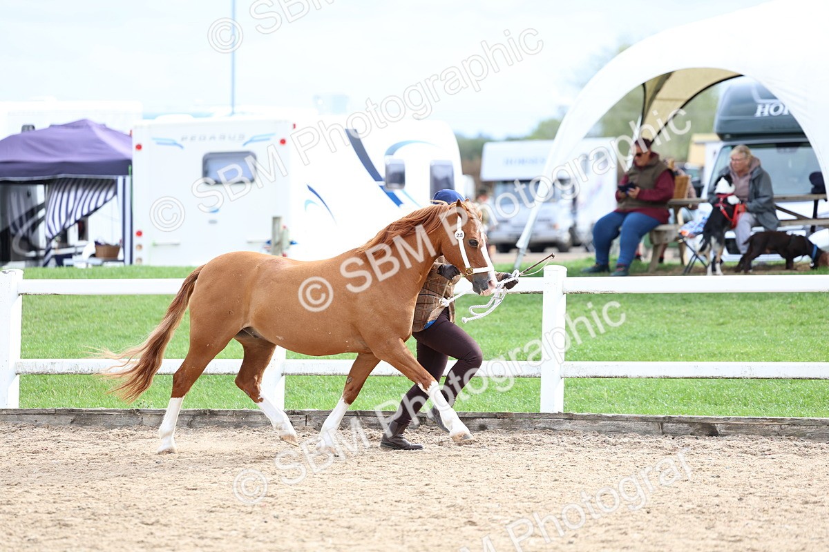 SBM_05830 - Class 29 - IH Veteran Pony