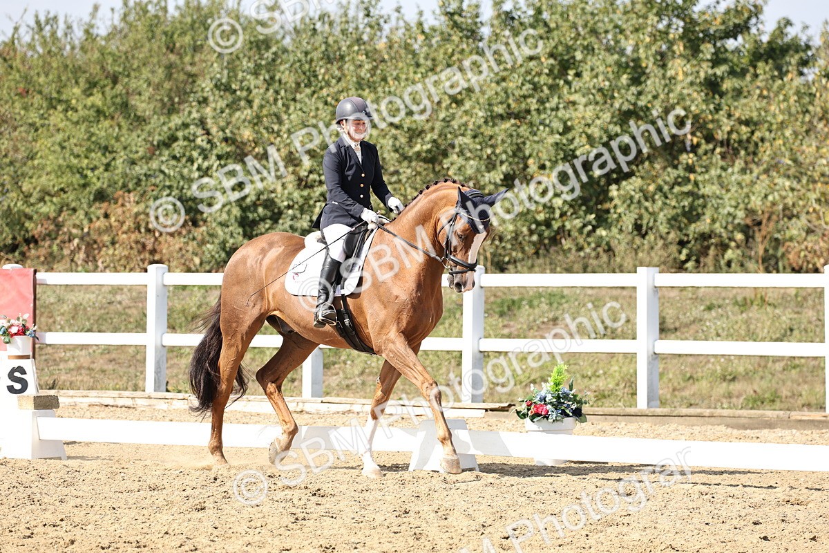 SBM_014940 - Class 7 - Medium 3