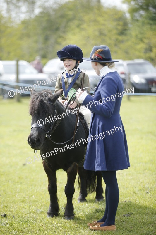 20260426-1914 - Class 7 - Pony Judge Would Most Like To Take Home