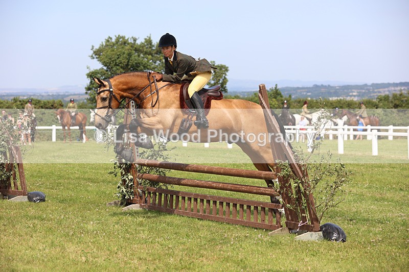 JPP_3722 - Class 23: Working Hunter 80cm