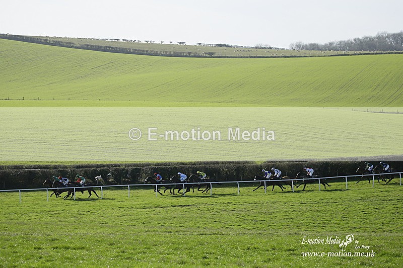 PtP 300122 17 - South Dorset Hunt - Point-to-Point Races 30/01/2022