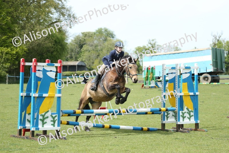 20260426-4094 - Class 16 - Intermediate 80cm