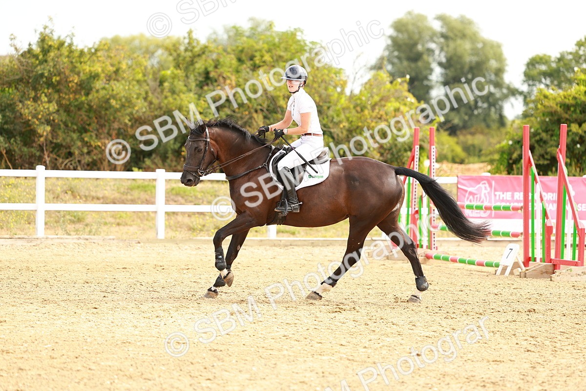 SBM_002321 - Class 9 - Senior British Novice - 90cm