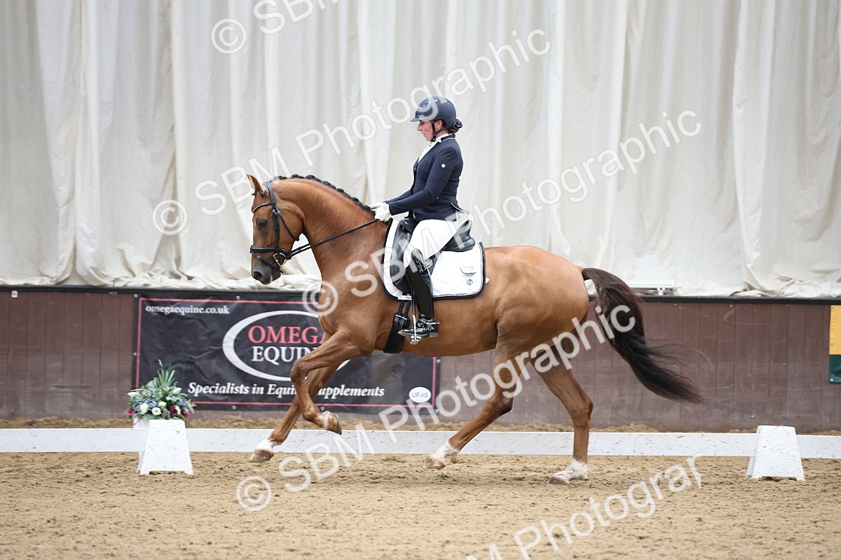 SBM_002900 - Class 5 - Novice 6 Gold - 10.24-11.30