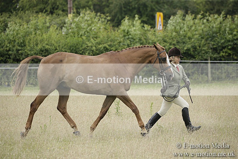 B230619-0769 - Bourne Valley Riding Club Summer Show 23/06/19