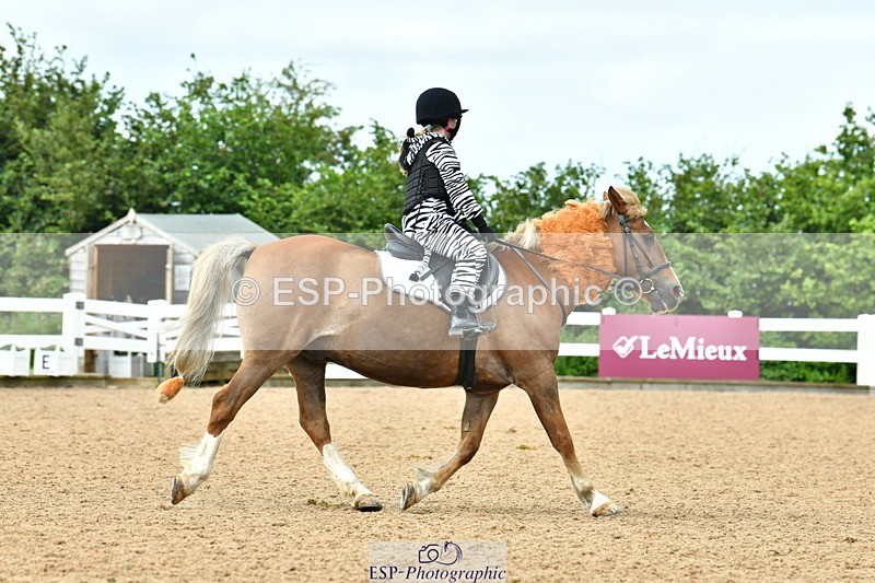 230804A-110029-02103 - Musical Ride