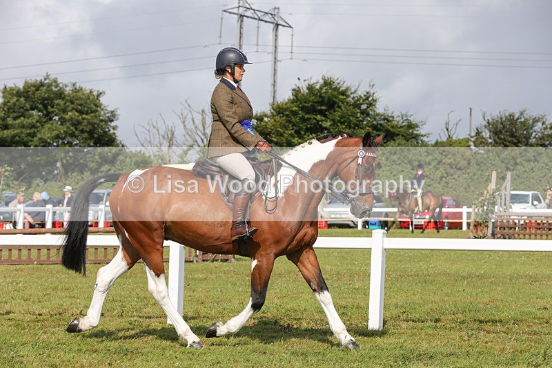 1X9A3474 - Skewbald and Piebald Ridden Championship