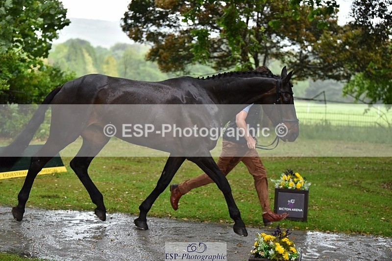 240522-151836-00249 - 319-RLE_KHALEESI_C-Christopher_Wincer