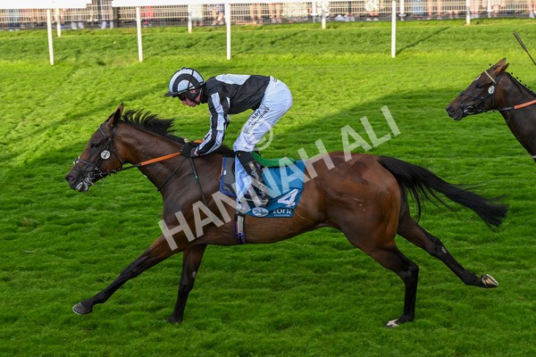 260724-Race 5-Verbier-5413 - Race 5 7.50pm British EBF Lyric Fillies' Stakes