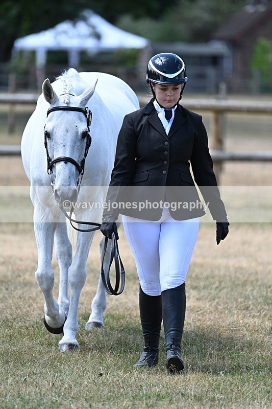 WJ7_2305 - Class 5a Most Handsome Gelding in hand (above 14.2hh)