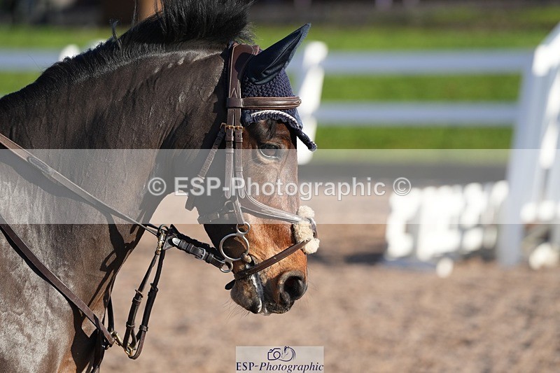 251129-115036-00370 - 70cm