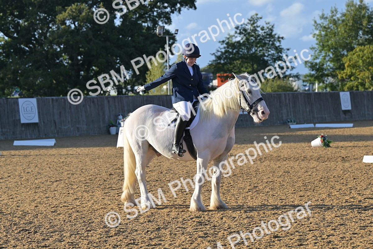 SBM_13200 - D3 - Small Tour Championship Intro 3