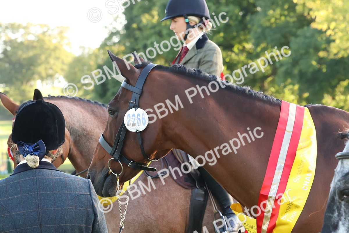 SBM_53196 - Veteran Supreme Championship