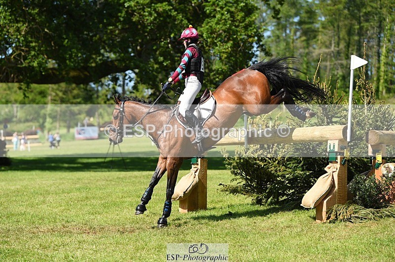 230527-163306-12169 - 373-BENGAL_LORE-Pippa_Taylor-XC