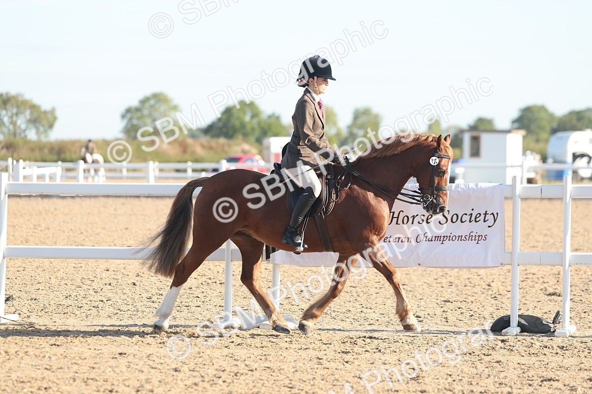 SBM_10971 - Class 302 - Ridden M&M Large Breeds