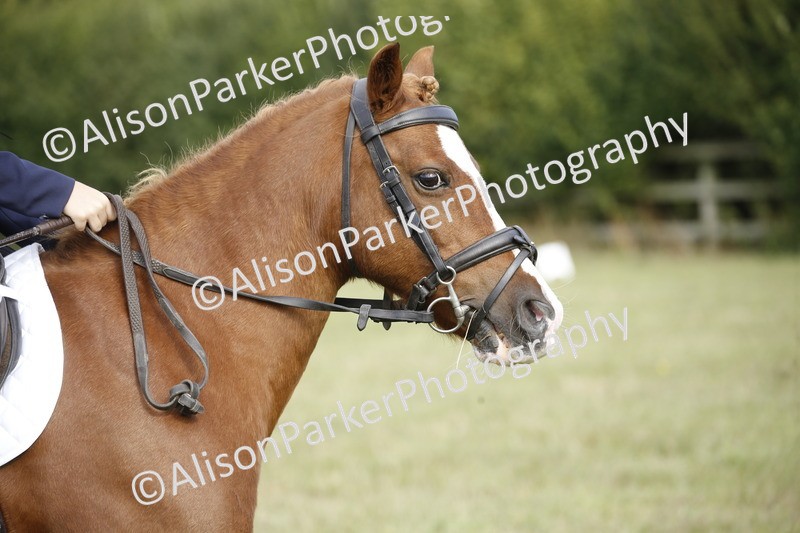 20250831-0109 - Class 1 - 50cm