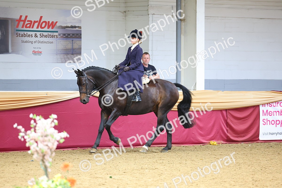 SBM_23586 - Class 904 - Supreme Final Ridden Diamond