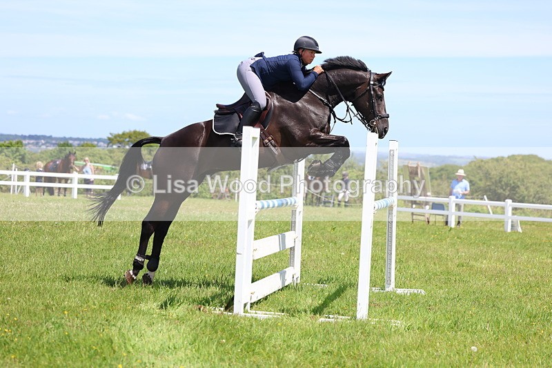 3E7A1203 - Class 12: Senior Foxhunter/1.20 open