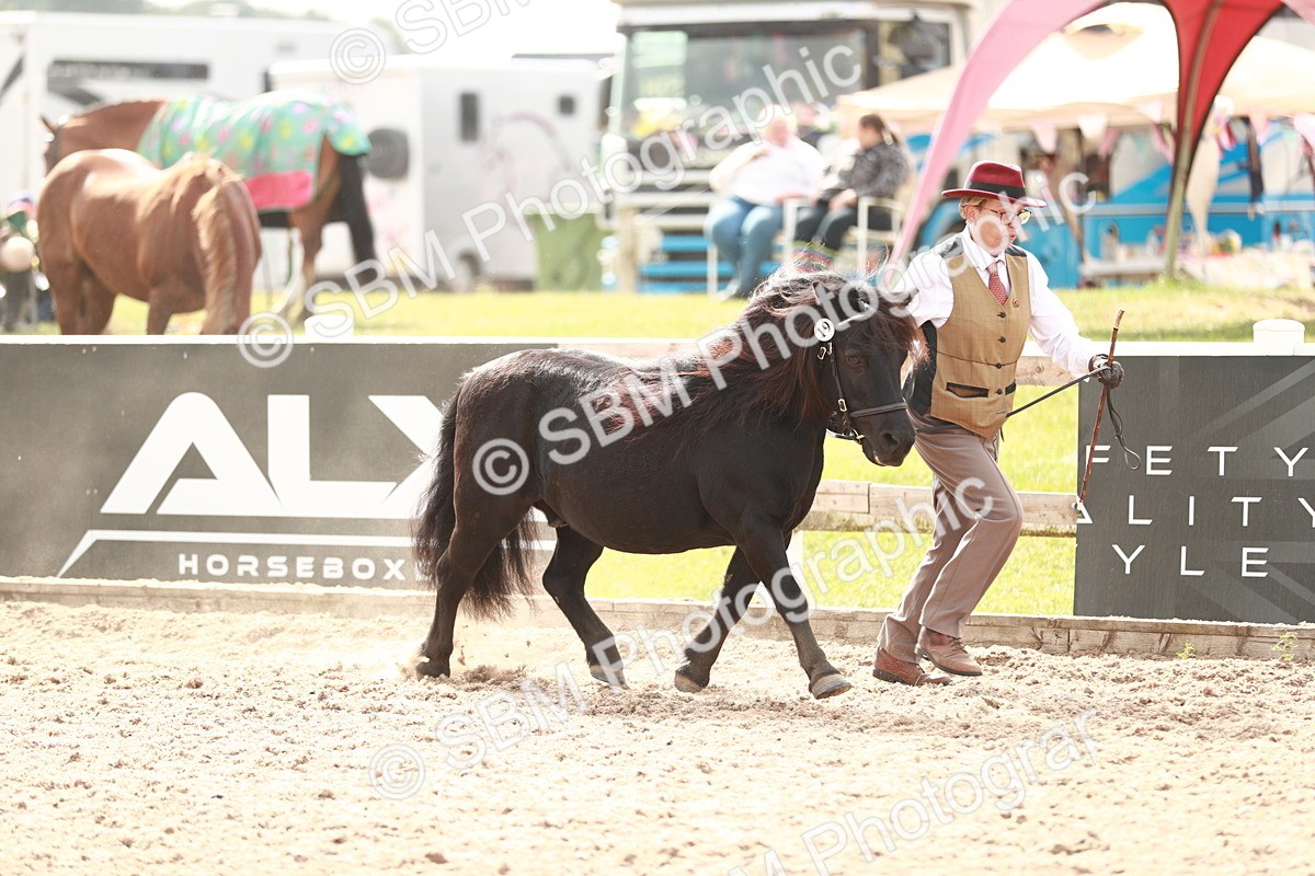 SBM_12423 - Class 207 IH M&M