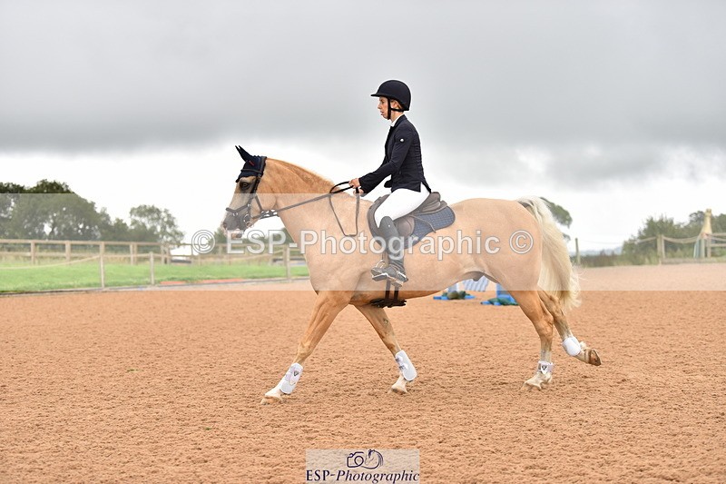 230808A-170426-00250 - 80cm