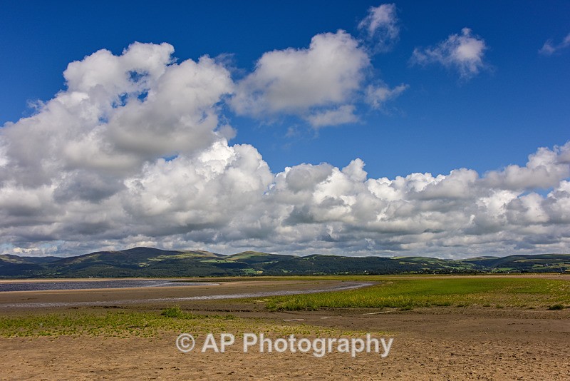 ACP_2369-1 - Ynyslas