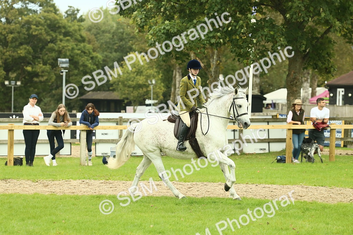 SBM_72049 - S60 - Mountain & Moorland Ridden Large Breeds