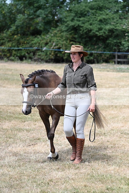 WJ7_2085 - Prettiest Mare Champs