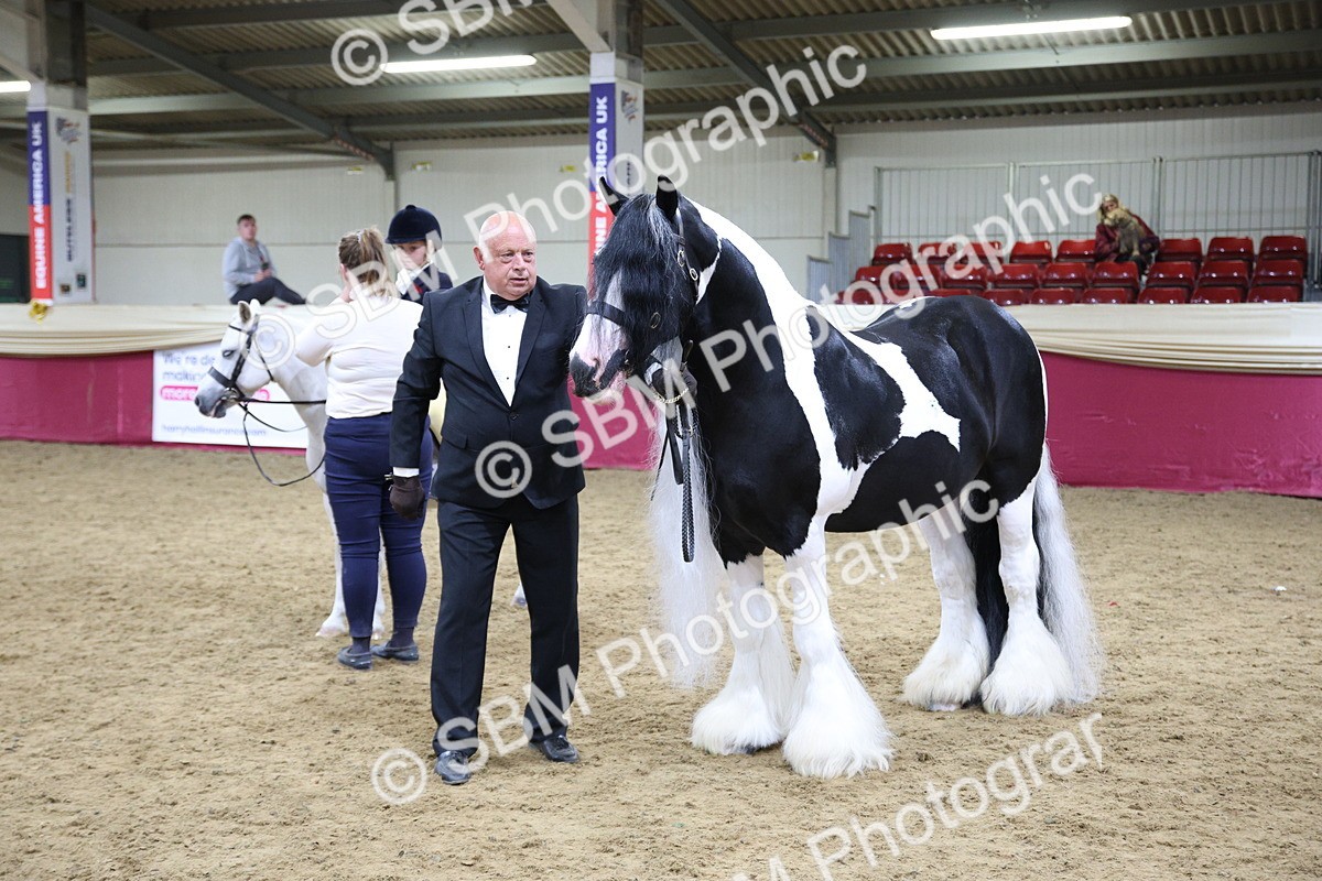 SBM_18620 - Class C Best Turned Out Champ