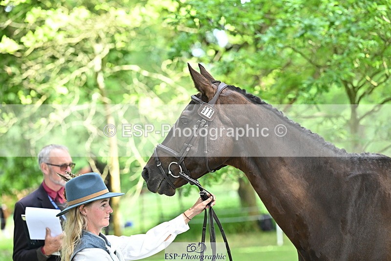 250521A-152139-00451 - B-379-Kelli.Frewin-HIDDEN.GOLD