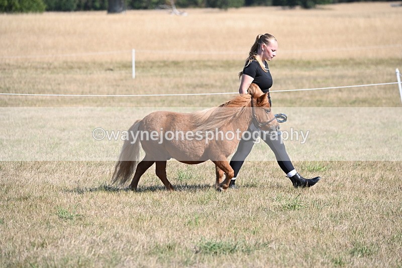 WJ6_7186 - Class 33 Rescue Pony