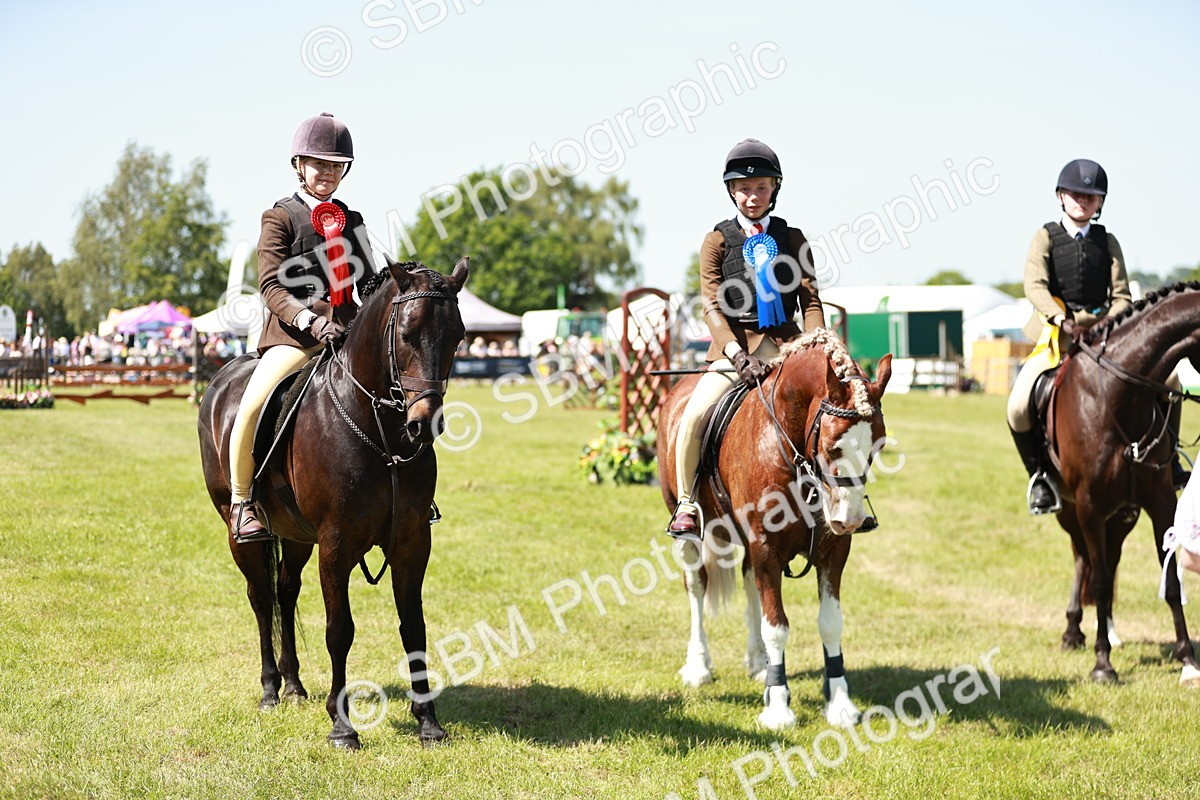 SBM_17665 - Class 112-113 - BSPS LIHS Working Sports Pony