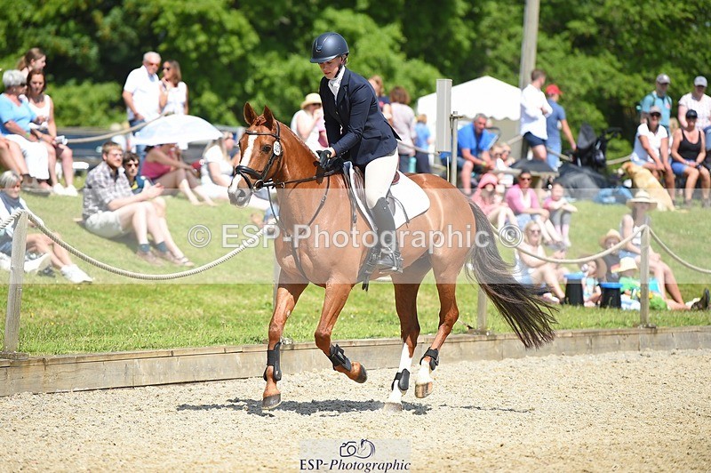 230528-113322-15262 - 323-CHESTNUT_BOBBY-Molly_Fletcher-SUNTrotUp+SJ