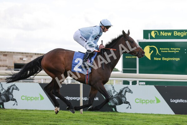 yr11052022r6-10 - Race 6 4.45pm Conundrum HR Consulting Stakes