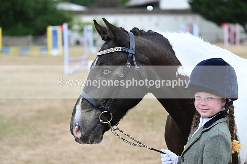 WJ7_9717 - Class 5 Most Handsome Gelding (up to 14.2hh)