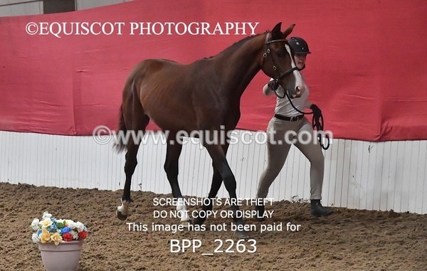 BPP_2263 - AFTERNOON 12.30 - 3.30PM