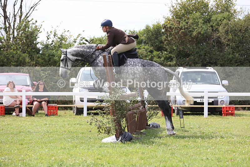 JPP_4001 - Class 24: Working Hunter 90cm