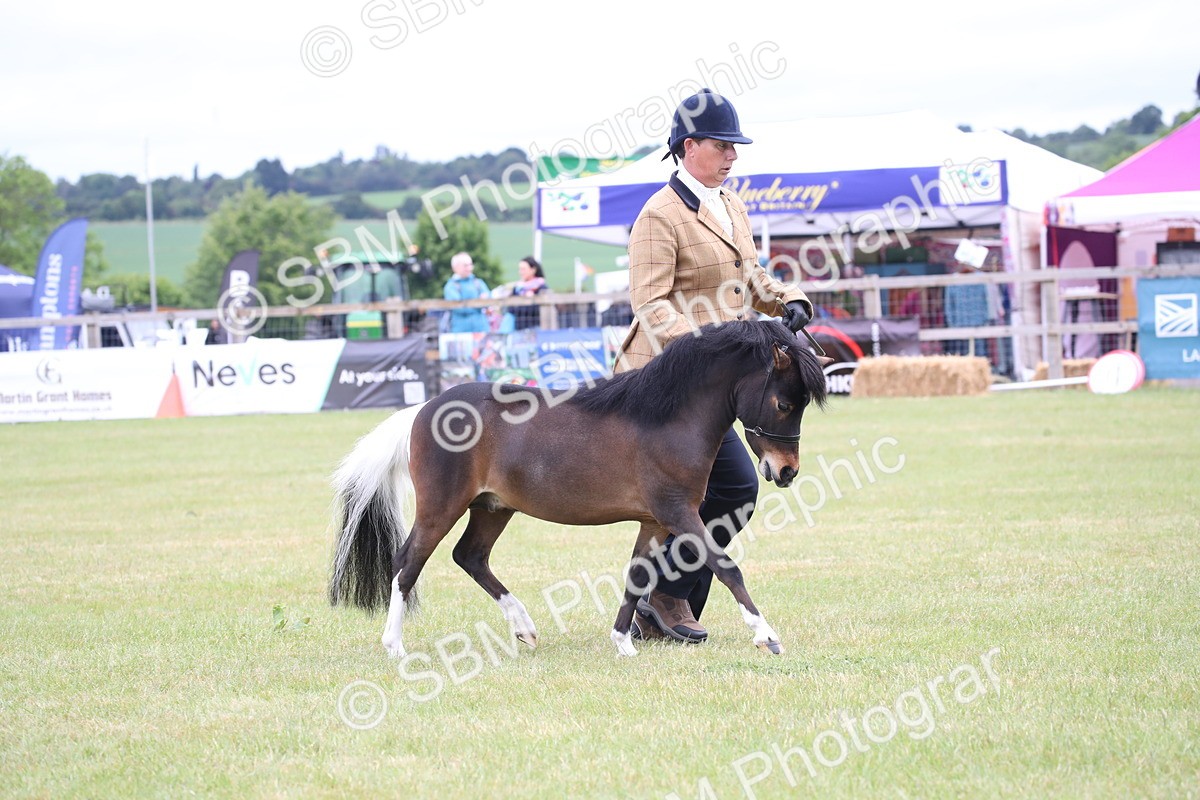 SBM_03792 - Class 23-25 - British Miniature Horse of the Year