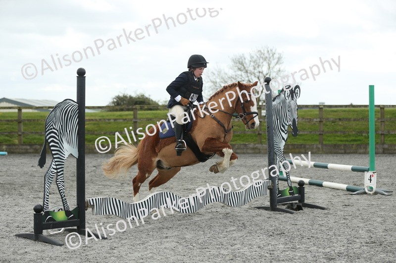 20260412-0617 - Show Jumping