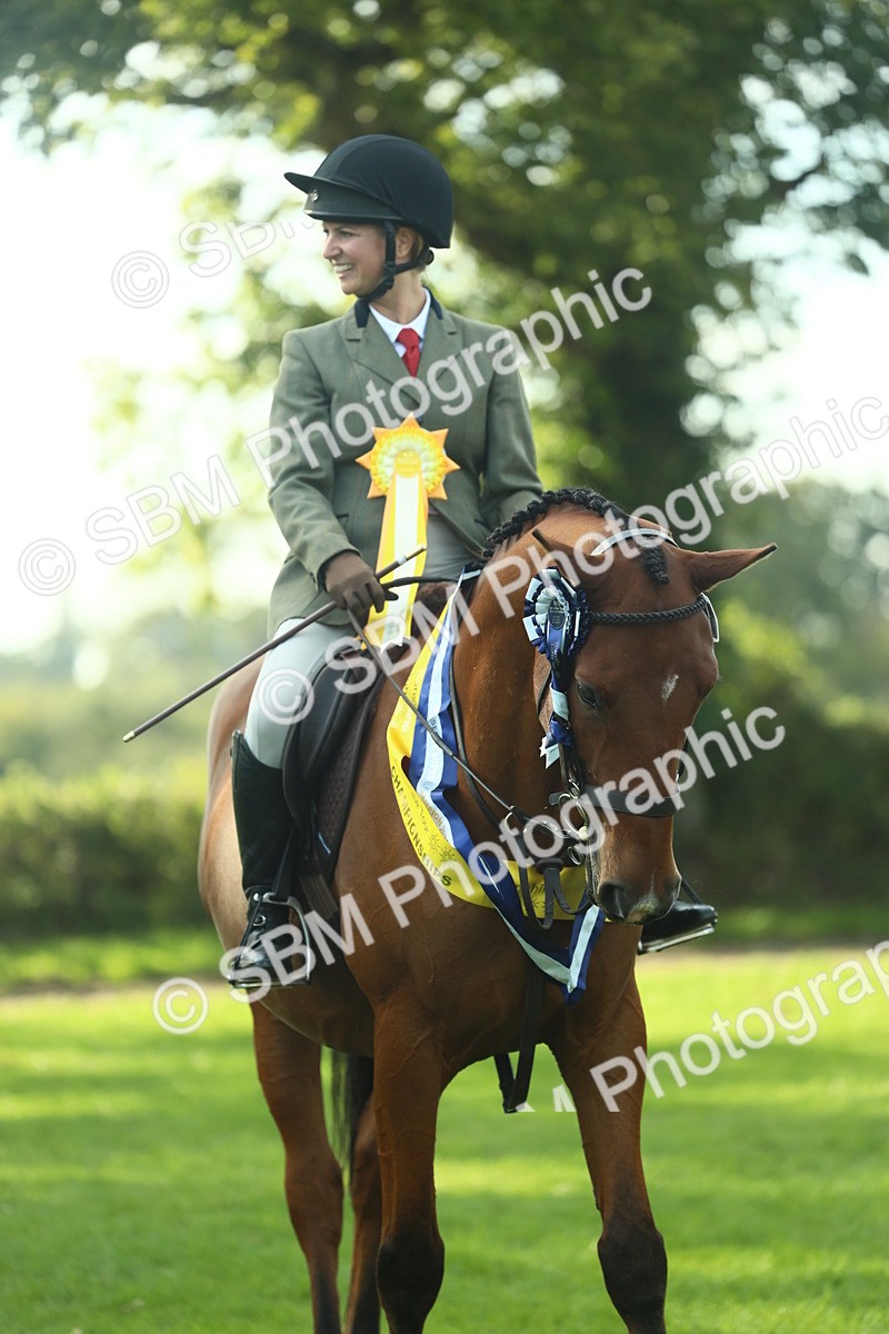 SBM_52323 - Working Hunter Supreme Championship