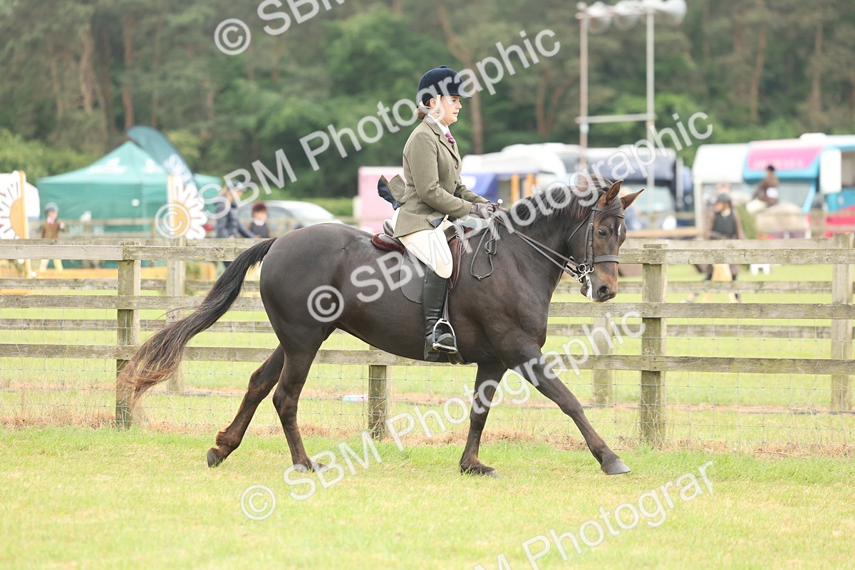 SBM_09079 - Class 78-80 - Ridden M&M Non Welsh Ponies