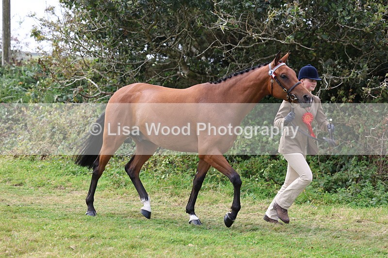 3E7A5658 - In Hand Championship