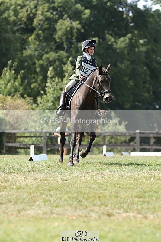 250823A-134931-31378 - Arena D