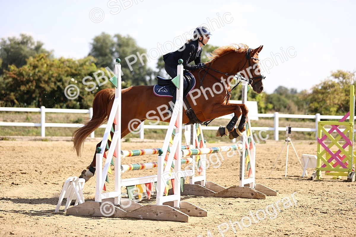 SBM_005841 - Class 9 - Senior British Novice - 90cm