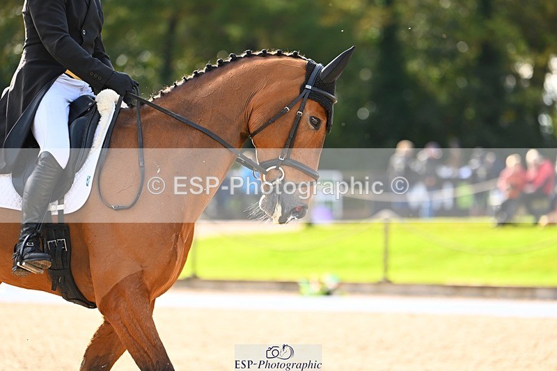 231021-142718-17839 - 357-COOLEY.HIGH.THYME-Andrew.Downes-DR